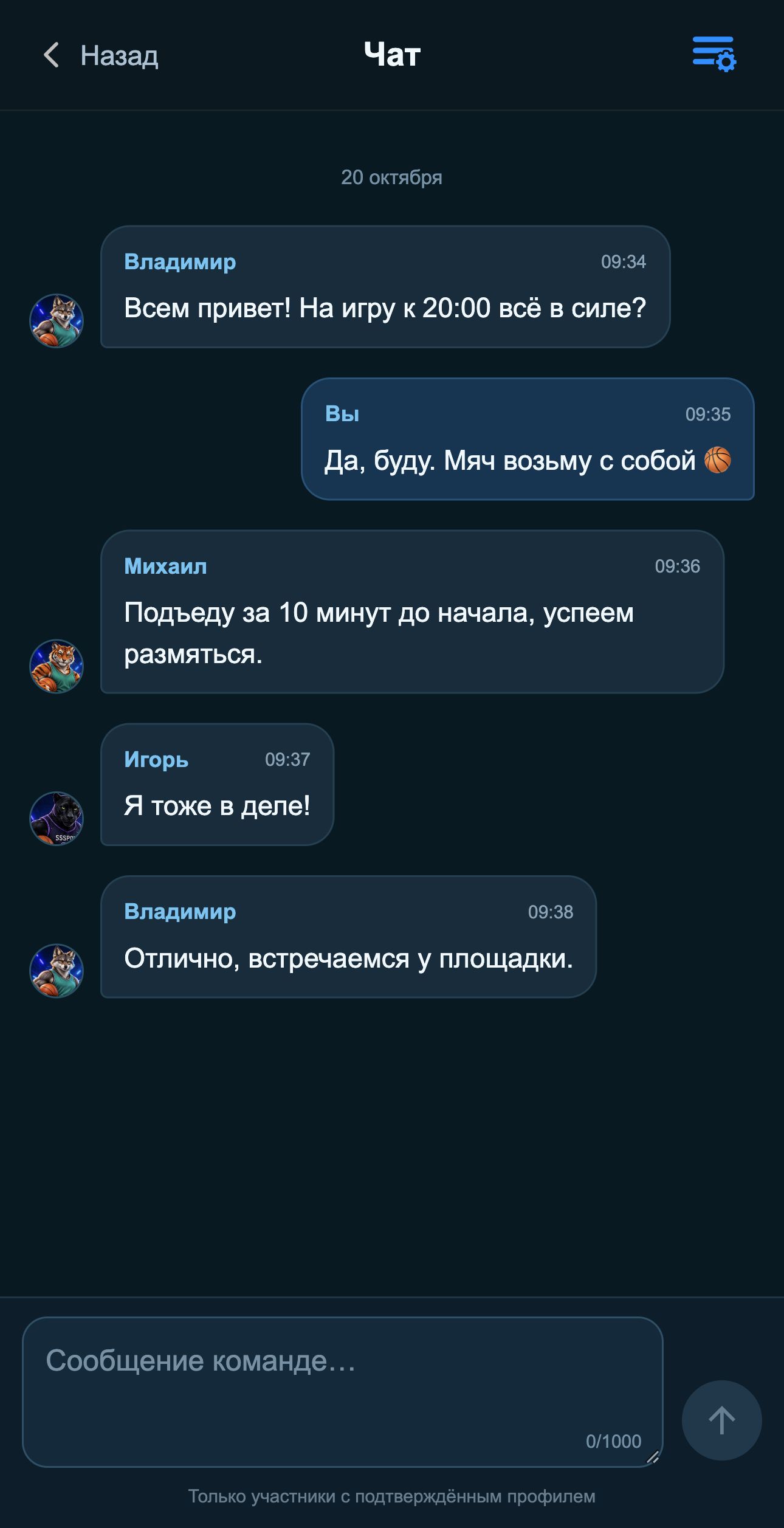 SSSPORT PWA приложение — Командный чат, iPhone 16 Plus